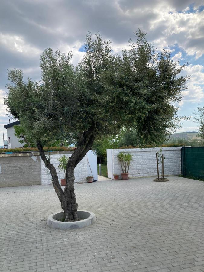 Villa Mater Matera Ngoại thất bức ảnh